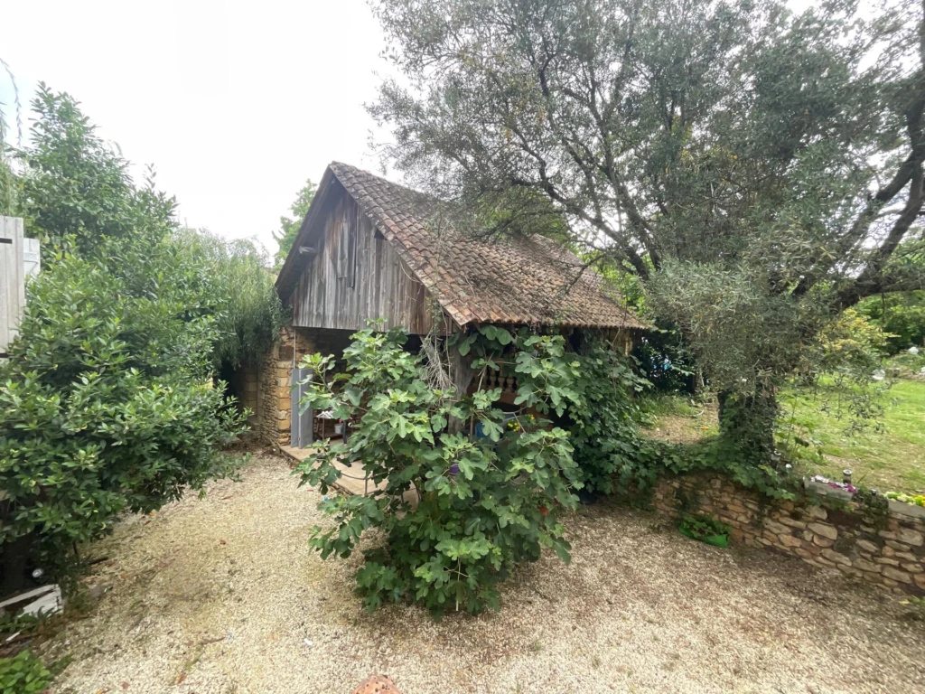 Photo 13