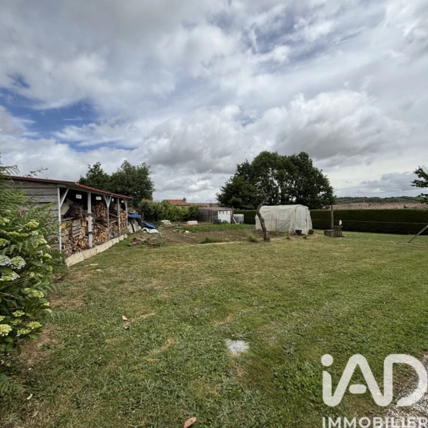 Photo 19