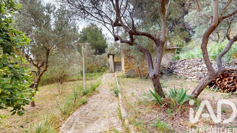 Photo 19