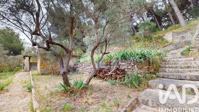 Photo 20
