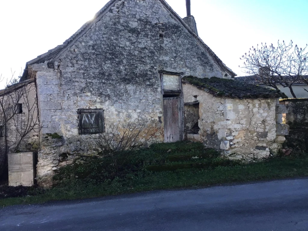 Photo 13