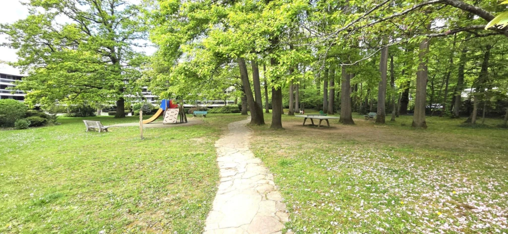 Photo 14