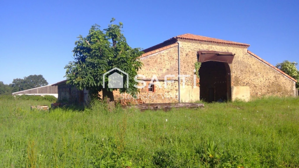 Photo 4