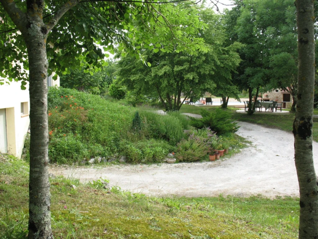 Photo 20
