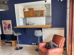 cuisine vue du salon