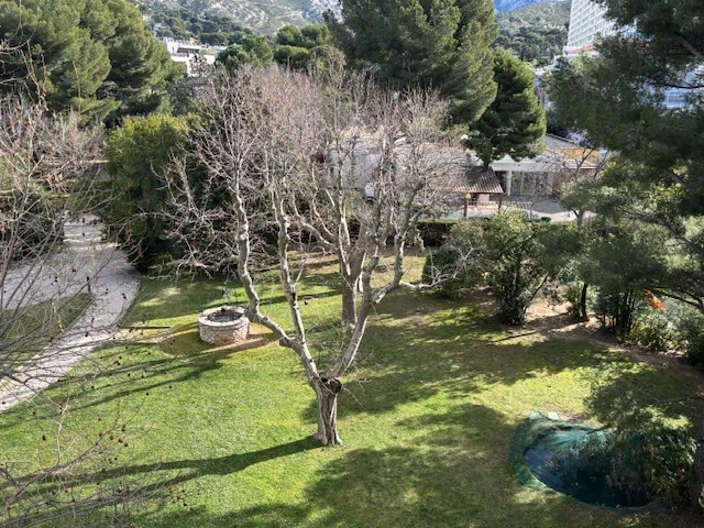 Vue sur le parc