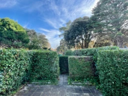 Jardin privatif arboré