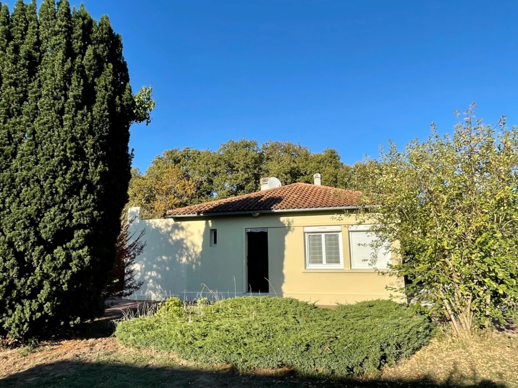 Maison avec grand terrain