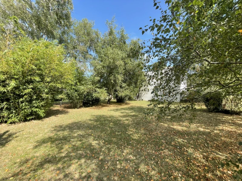 Terrain arboré