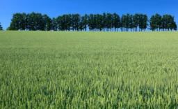 GERS EXPLOITATION AGRICOLE 320 HA IRRIGUES LACS 2