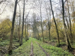 BOIS DE 23.5 HA SUD LAON 2