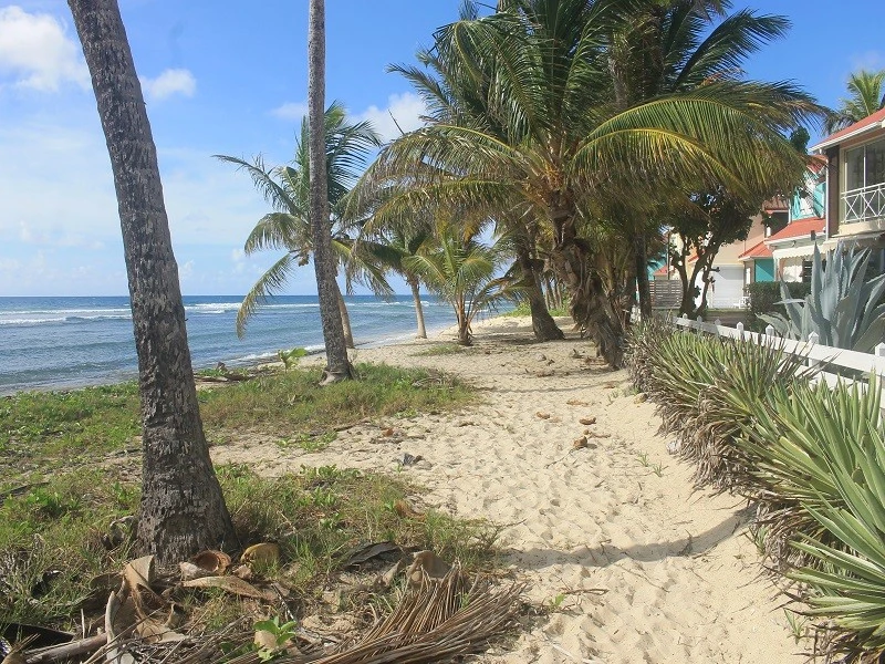 Appartement F4 rés. Crystal Beach Saint-François 9