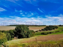 OCCITANIE PROPRIETE 820 HA LACS COLLINAIRES 2
