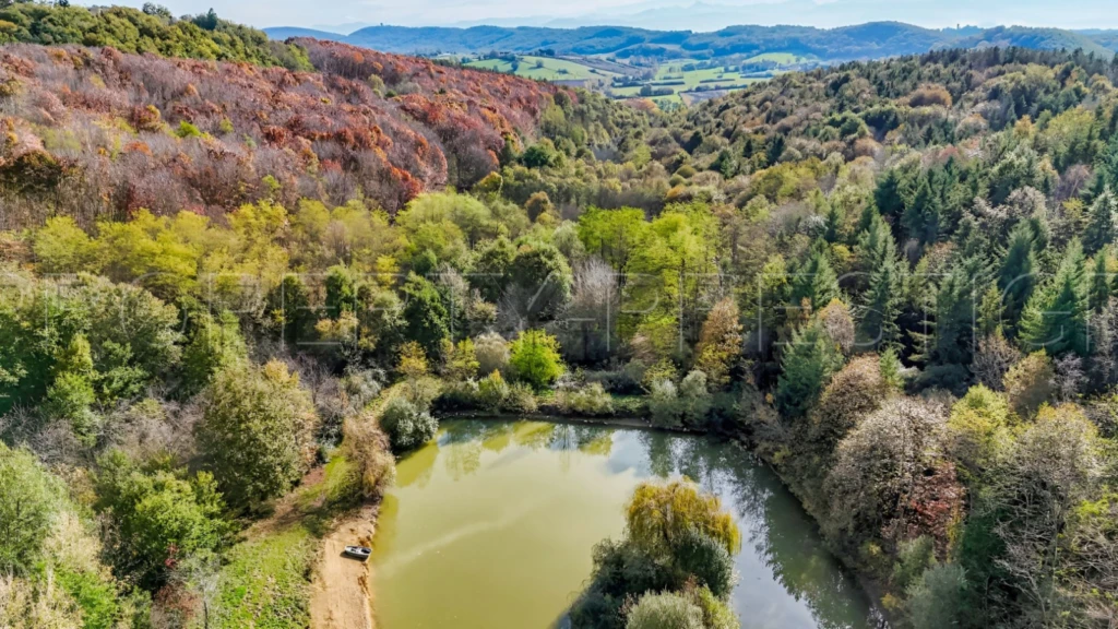 ARIEGE PROPRIETE FORESTIERE 54 HA 13