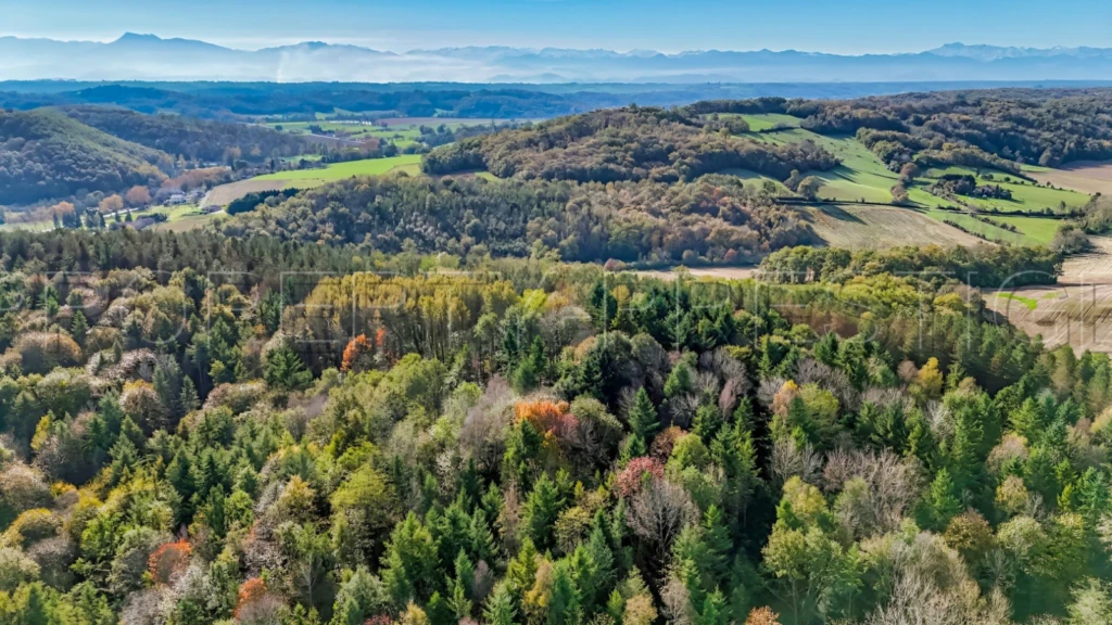 ARIEGE PROPRIETE FORESTIERE 54 HA 8