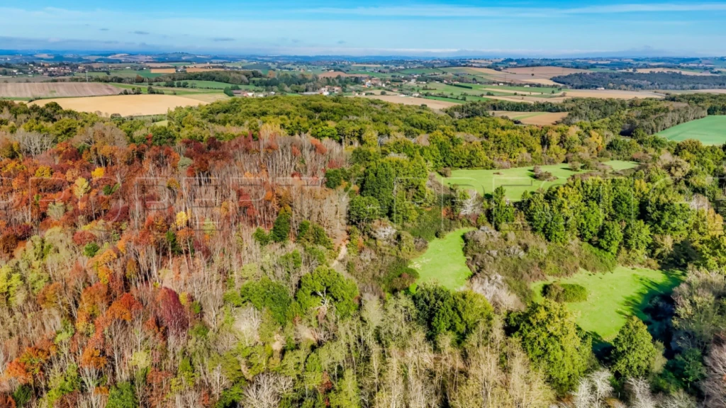 ARIEGE PROPRIETE FORESTIERE 54 HA 12
