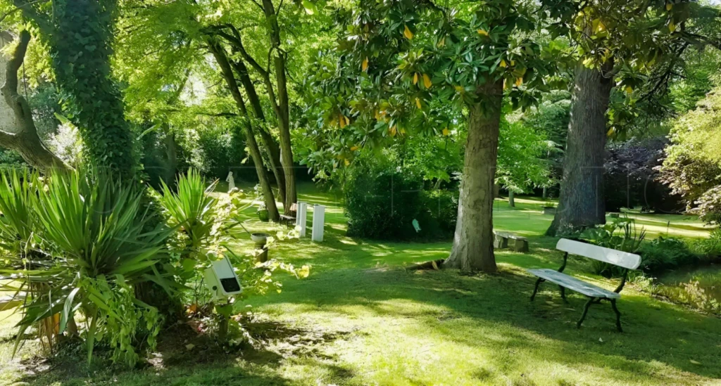 OCCITANIE DOMAINE MARIAGES EVENEMENTIEL 2,8 HA 5