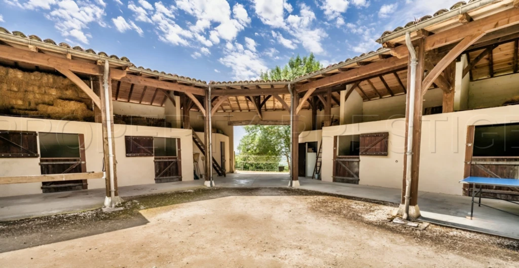 CHÂTEAU SEIGNEURIAL XVème LOT-ET-GARONNE/DORDOGNE 13