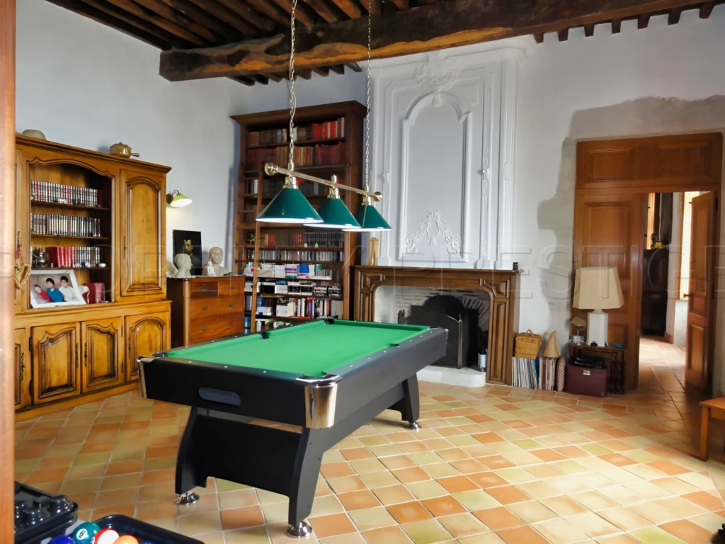 CHÂTEAU SEIGNEURIAL XVème LOT-ET-GARONNE/DORDOGNE 11