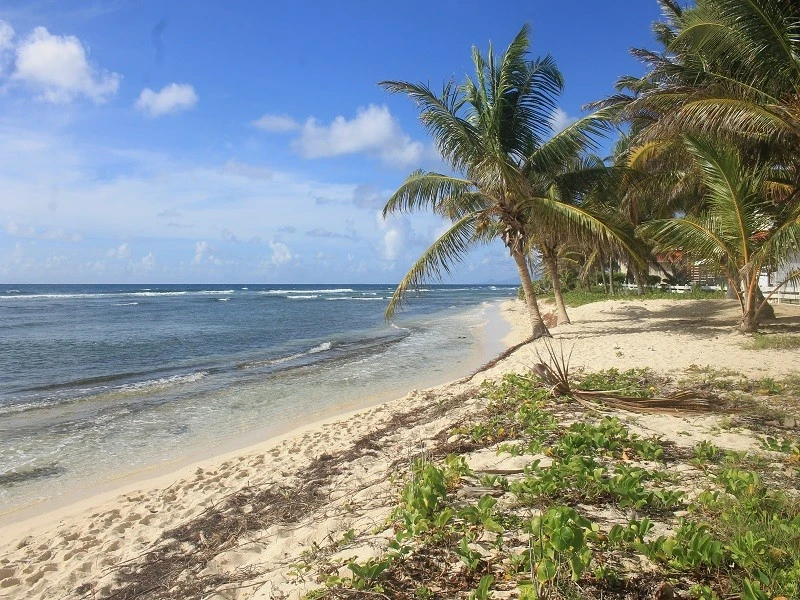 Appartement T3 rés. Crystal Beach Saint-François 15