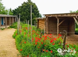 DOMAINE 7HA avec écurie privée - Toulouse SE 2