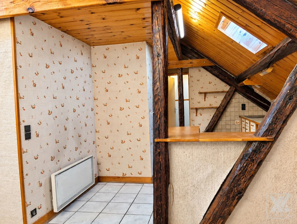 Spacieux T3 avec balcon et mezzanines 11
