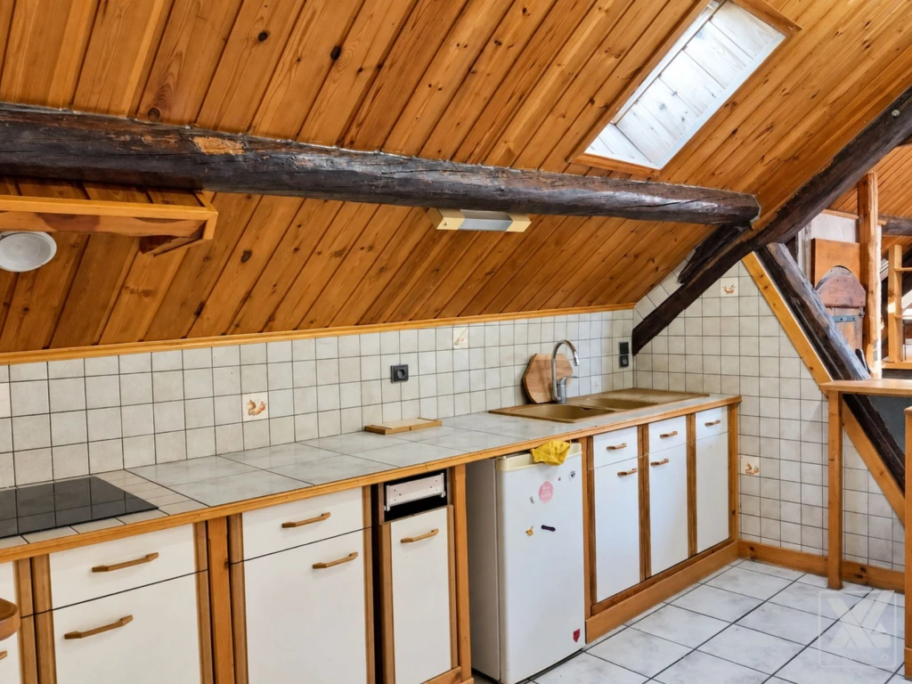 Spacieux T3 avec balcon et mezzanines 9
