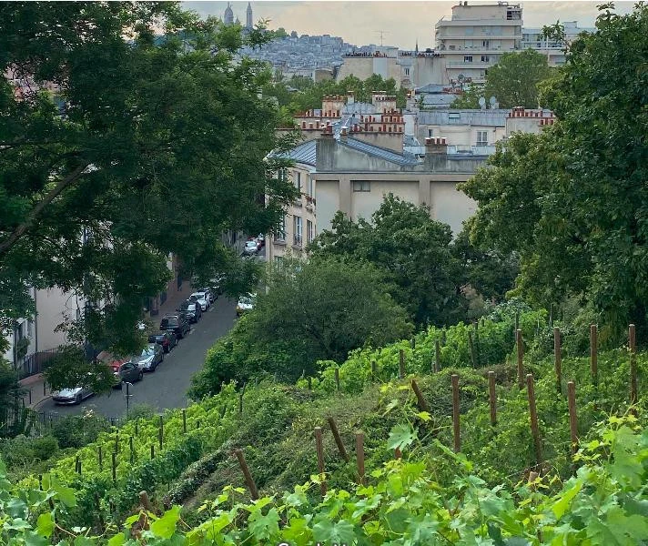 Appartement 1 pièce 1