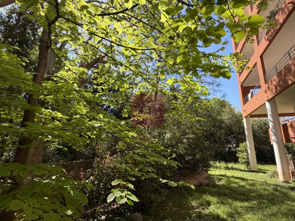 Jardin