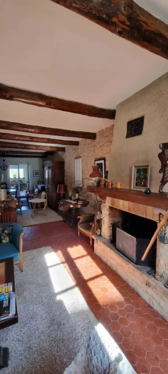 LA BASTIDE DES JOURDANS, A cozy, vintage-style living room with a rug, wooden furniture, plants, and