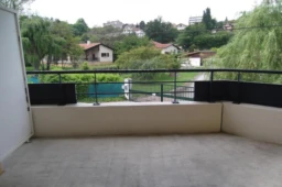 DSCF1559