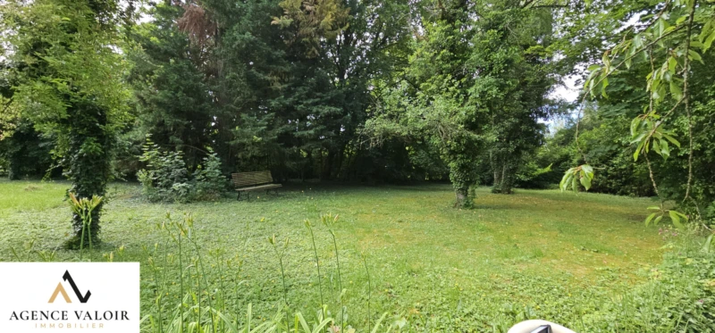jardin