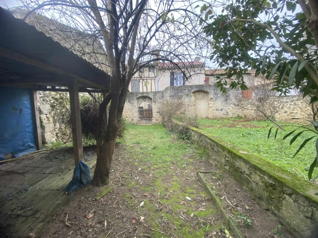 Jardin 1
