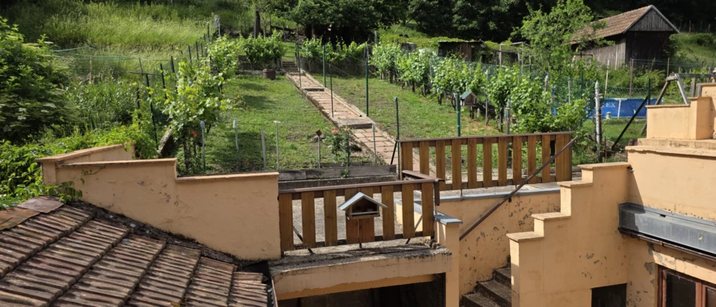 Vue d'ensemble sur le jardin