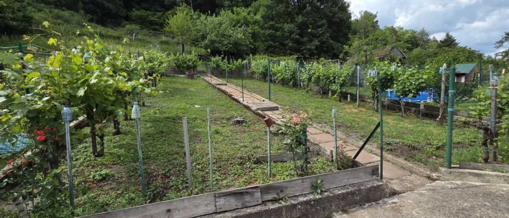 Potager