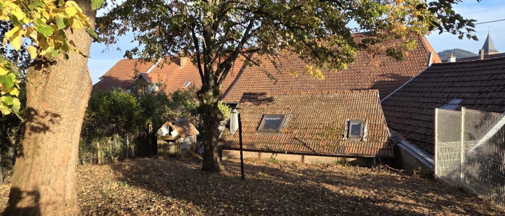 Arrière, Ouest, jardin