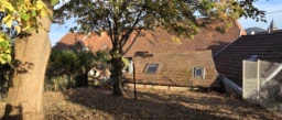 Arrière, Ouest, jardin