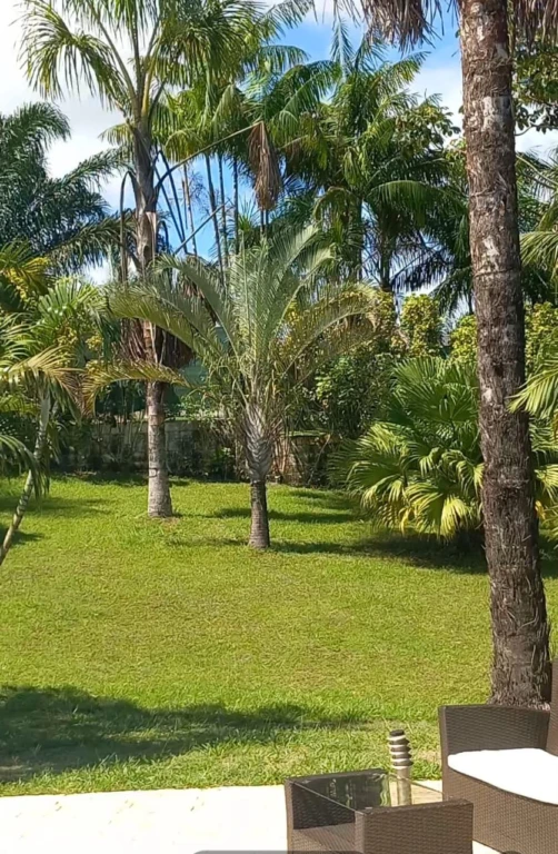 JARDIN ARRIERE