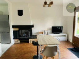 séjour salon avec cheminée insert
