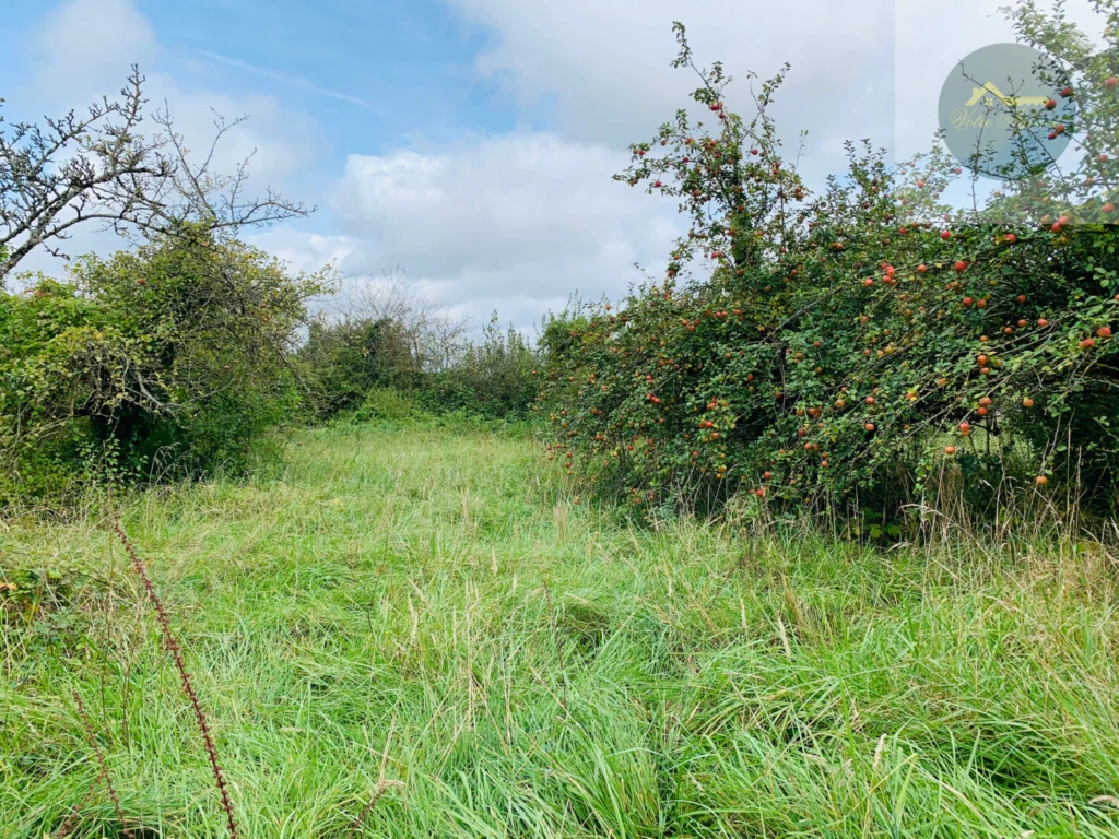 terrain de 1470 m2