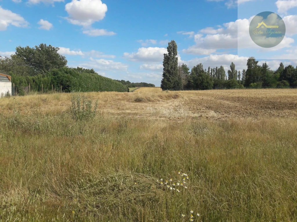 terrain viabilisé de 1 000 m2