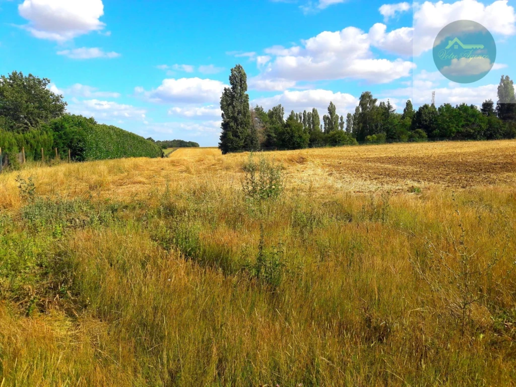 terrain viabilisé de 1 000 m2