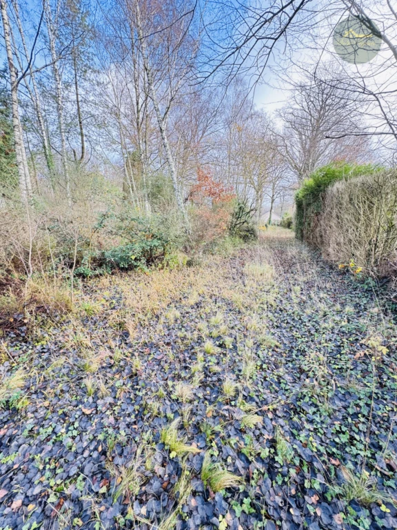 environnement sans vis-à-vis