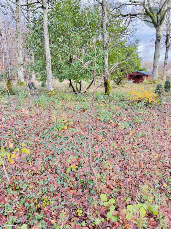environnement sans vis-à-vis
