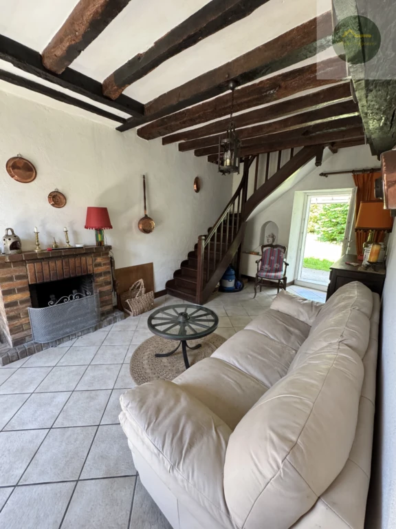 salon séjour avec cheminée insert