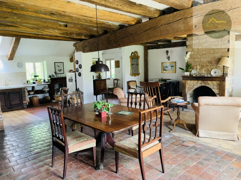grande pièce à vivre avec cheminée