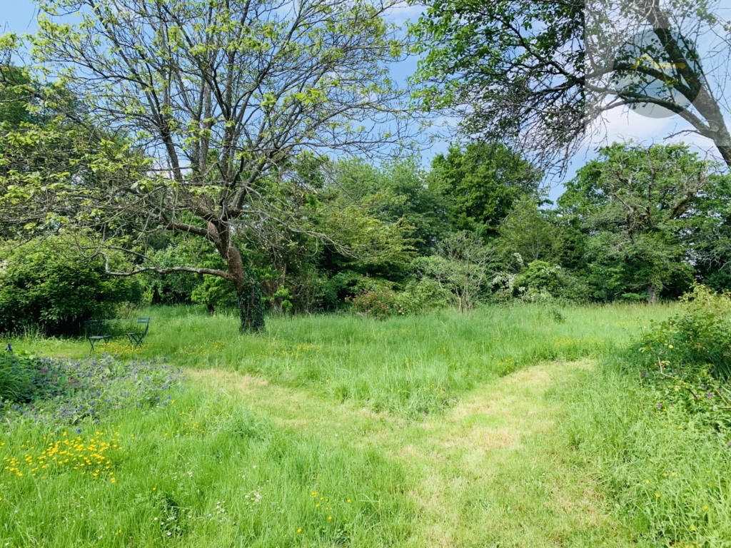 grand parc arboré