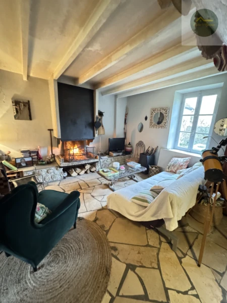 pièce à vivre avec cheminée