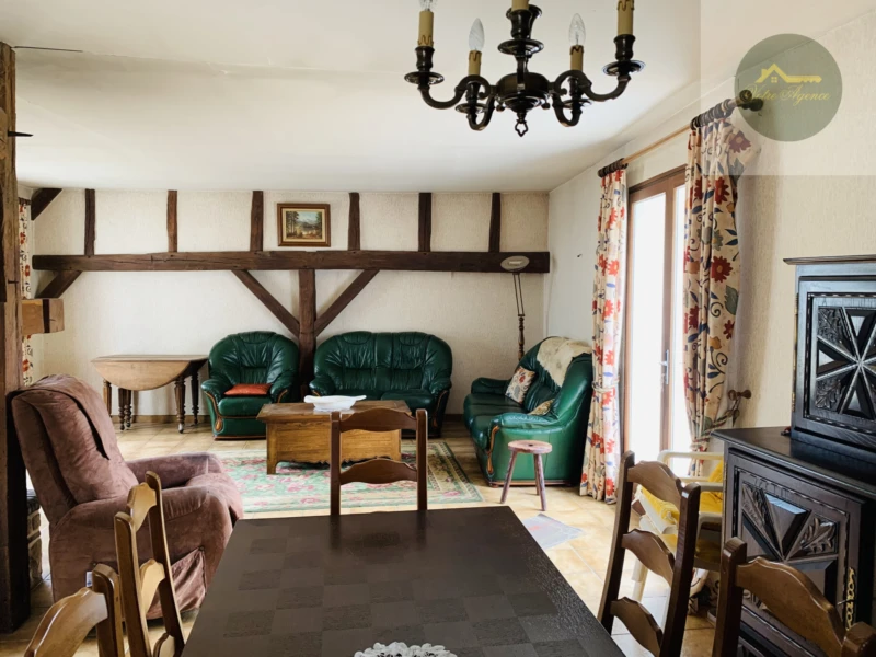 séjour salon avec cheminée insert