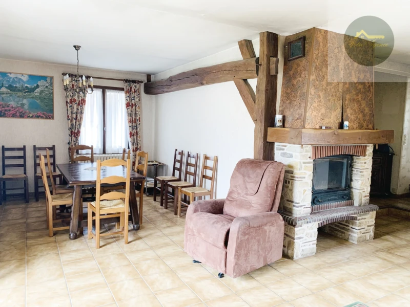 séjour salon avec cheminée insert